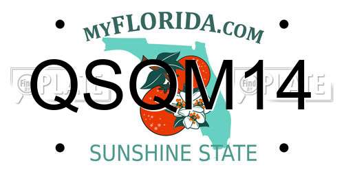QSQM14 Florida License Plate