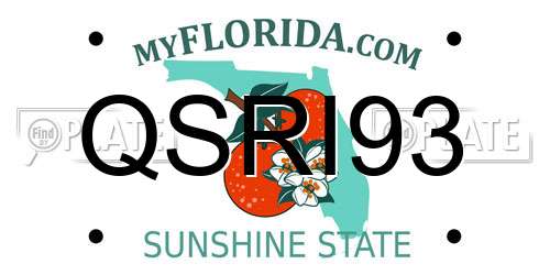 QSRI93 Florida License Plate