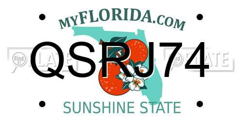 QSRJ74 Florida License Plate