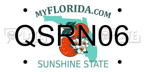 QSRN06 Florida License Plate