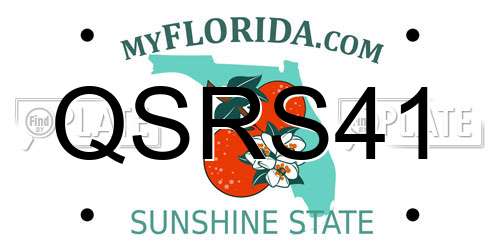 QSRS41 Florida License Plate