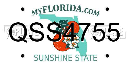 QSS4755 Florida License Plate