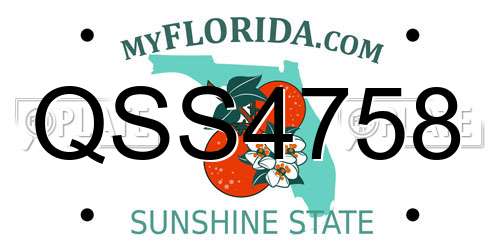 QSS4758 Florida License Plate