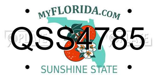 QSS4785 Florida License Plate
