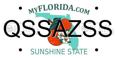 QSSAZSS Florida License Plate