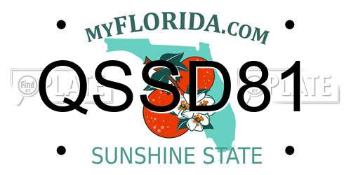 QSSD81 Florida License Plate