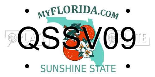 QSSV09 Florida License Plate