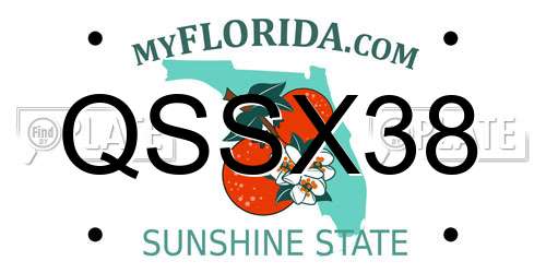 QSSX38 Florida License Plate