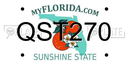 QST270 Florida License Plate