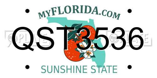 QST3536 Florida License Plate