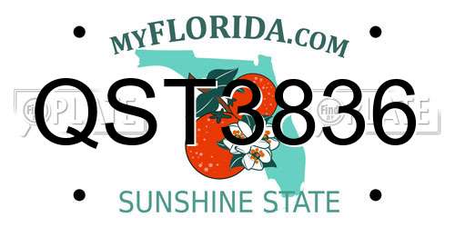 QST3836 Florida License Plate