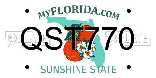 QST770 Florida License Plate