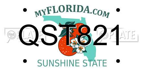 QST821 Florida License Plate
