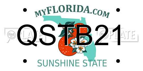 QSTB21 Florida License Plate