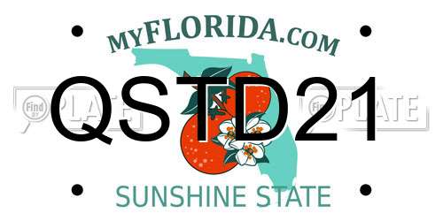 QSTD21 Florida License Plate