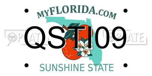 QSTI09 Florida License Plate