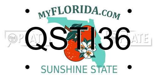 QSTI36 Florida License Plate