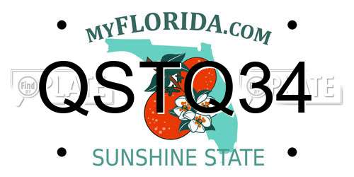 QSTQ34 Florida License Plate