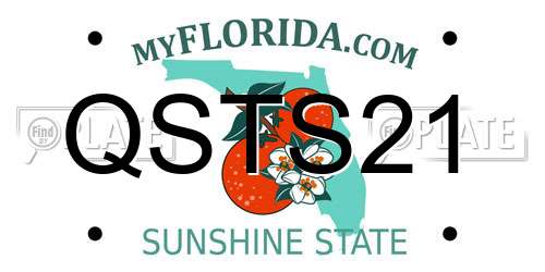 QSTS21 Florida License Plate