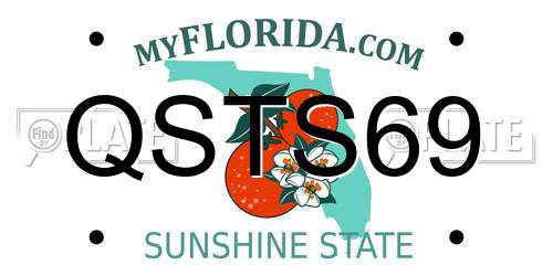 QSTS69 Florida License Plate