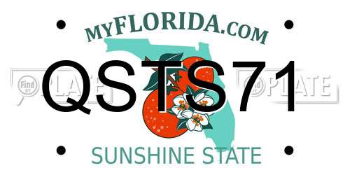 QSTS71 Florida License Plate