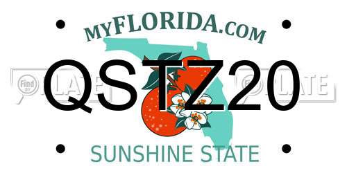 QSTZ20 Florida License Plate