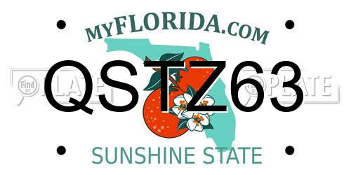 QSTZ63 Florida License Plate