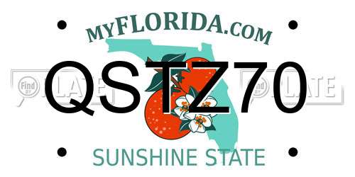 QSTZ70 Florida License Plate