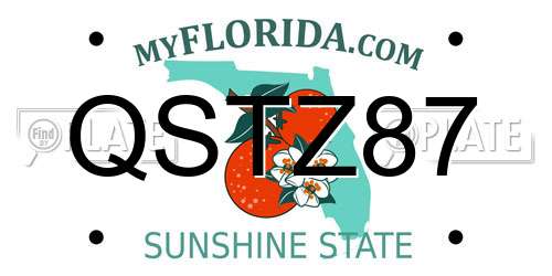 QSTZ87 Florida License Plate