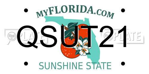 QSUT21 Florida License Plate