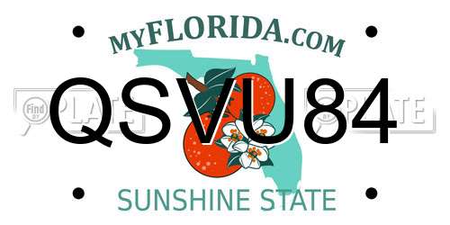 QSVU84 Florida License Plate