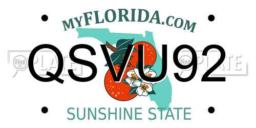 QSVU92 Florida License Plate