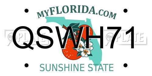 QSWH71 Florida License Plate