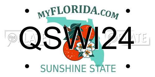 QSWI24 Florida License Plate