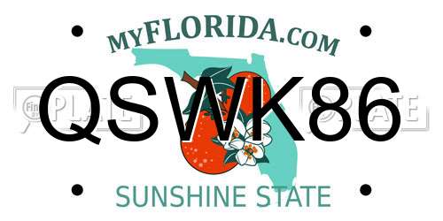 QSWK86 Florida License Plate