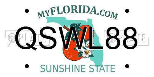 QSWL88 Florida License Plate