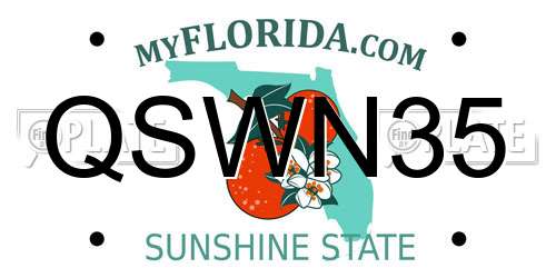 QSWN35 Florida License Plate