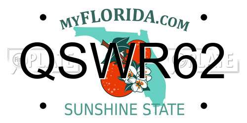 QSWR62 Florida License Plate