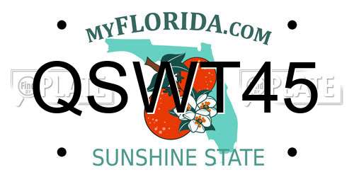 QSWT45 Florida License Plate