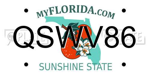 QSWV86 Florida License Plate
