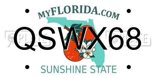 QSWX68 Florida License Plate