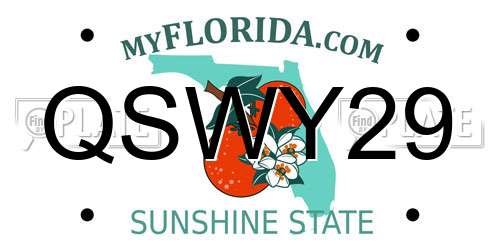 QSWY29 Florida License Plate