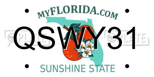 QSWY31 Florida License Plate
