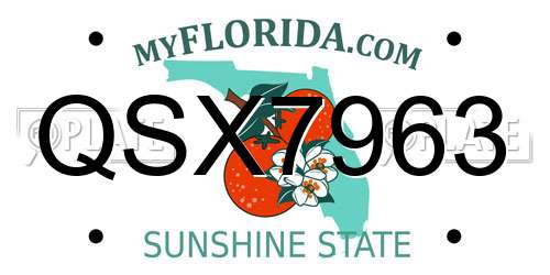 QSX7963 Florida License Plate