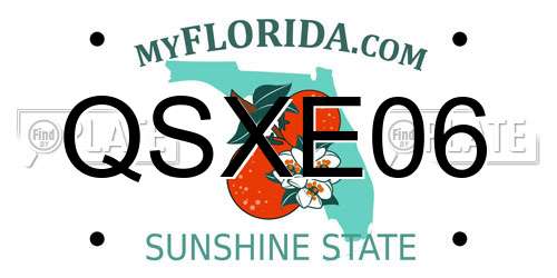 QSXE06 Florida License Plate
