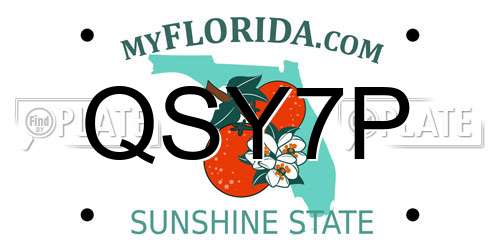 QSY7P Florida License Plate