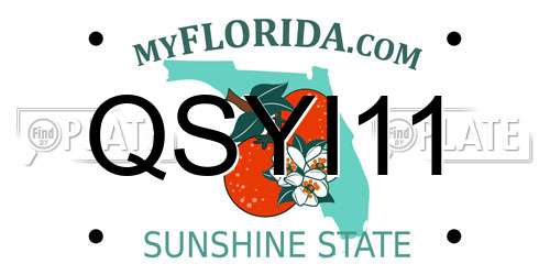 QSYI11 Florida License Plate