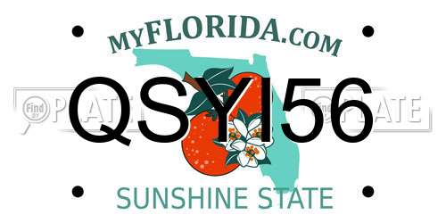 QSYI56 Florida License Plate