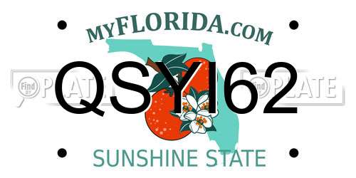 QSYI62 Florida License Plate