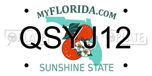 QSYJ12 Florida License Plate